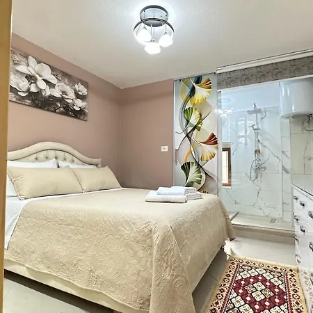 Lägenhetshotell Duplex Mino, Pazari I Vjeter 3*