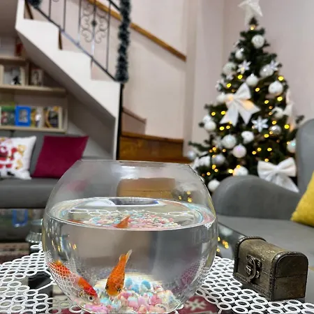 Duplex Mino, Pazari I Vjeter